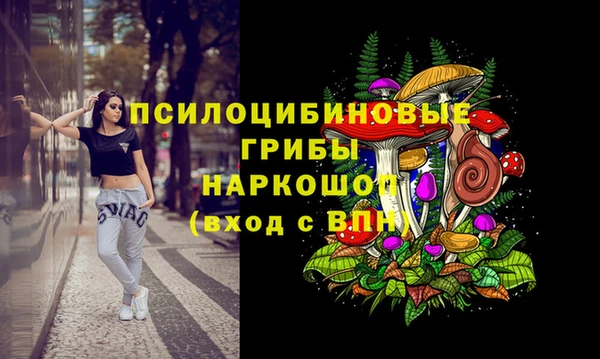 бутират Богородицк