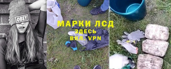 мдпв Богданович