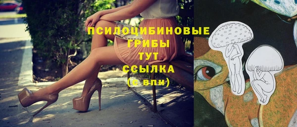MDMA Бородино