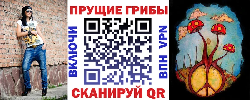 даркнет сайт  Дальнереченск  мега онион  Галлюциногенные грибы прущие грибы 